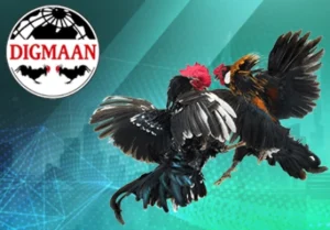 digmaan casino